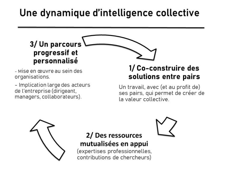 dynamique-intelligence-collective-les-aeh